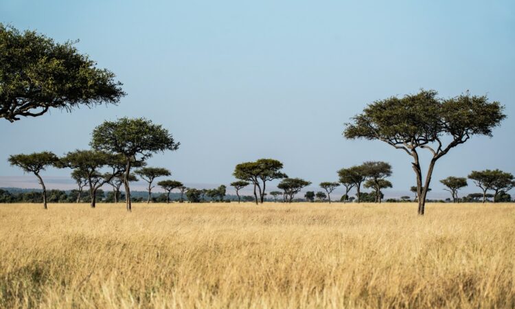 Kenya National Parks List