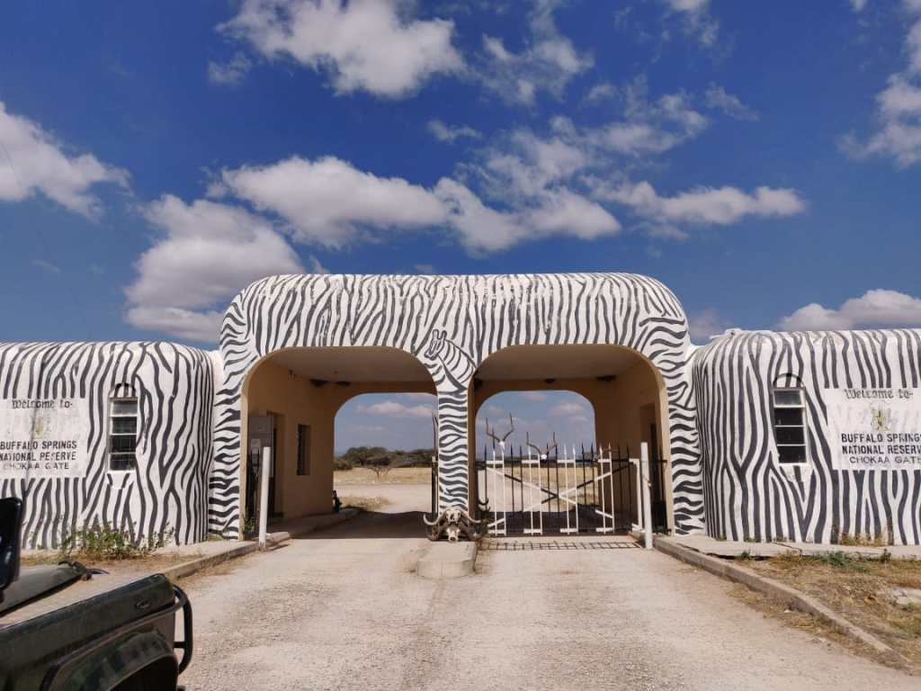 When to Go - Best Times for Your Buffalo Springs Visit